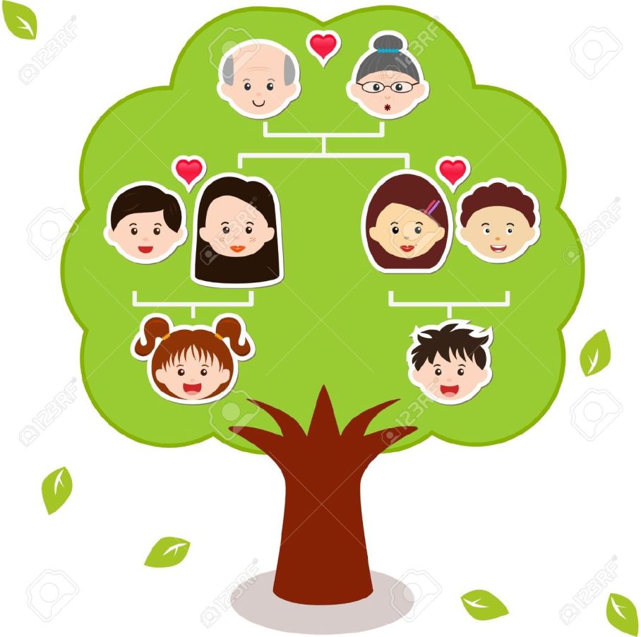 14015432-icons-family-tree-a-diagram-on-a-genealogical-tree-isolated-on-white-background-stock-vector