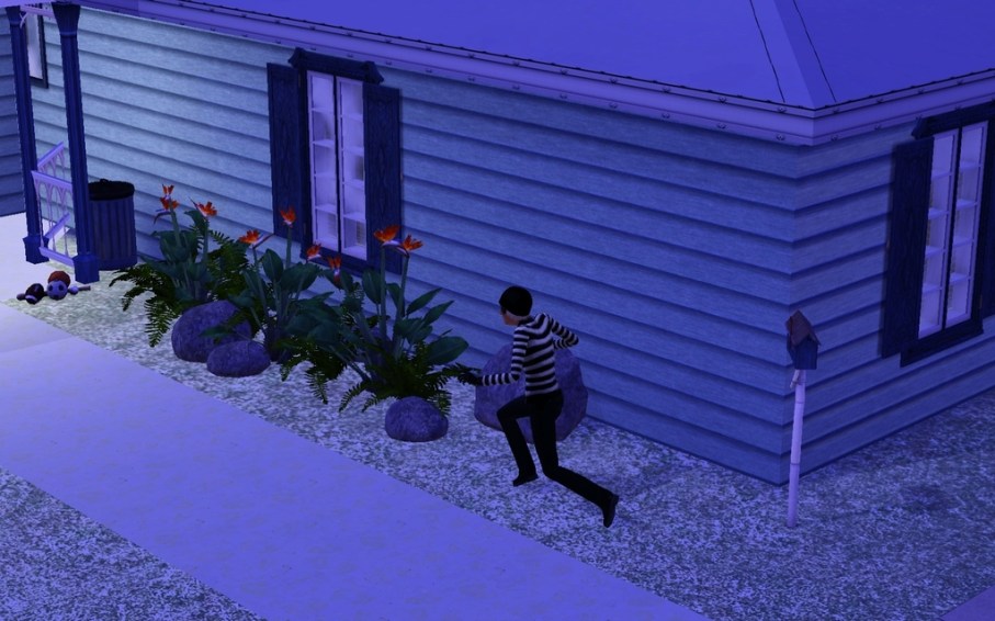 burglar_zpsl3v7ucbz