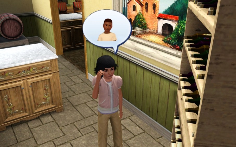 france13_zpshf5e8lmu