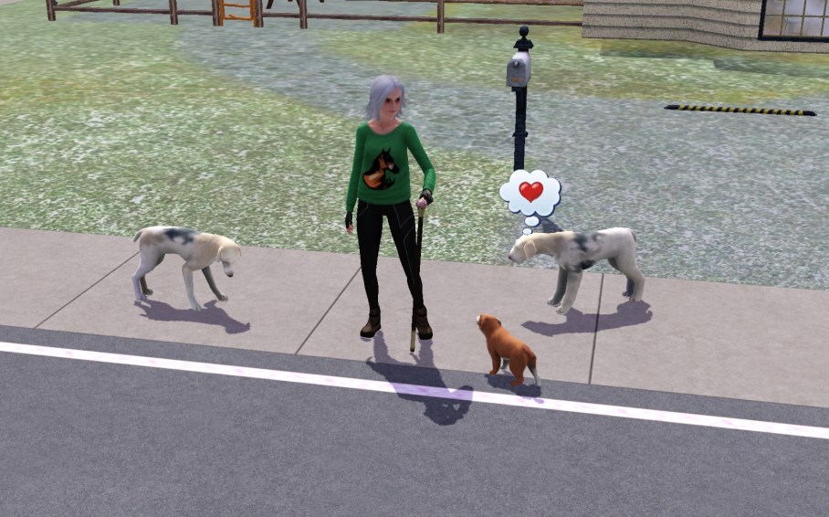 Rhoda and Dogs